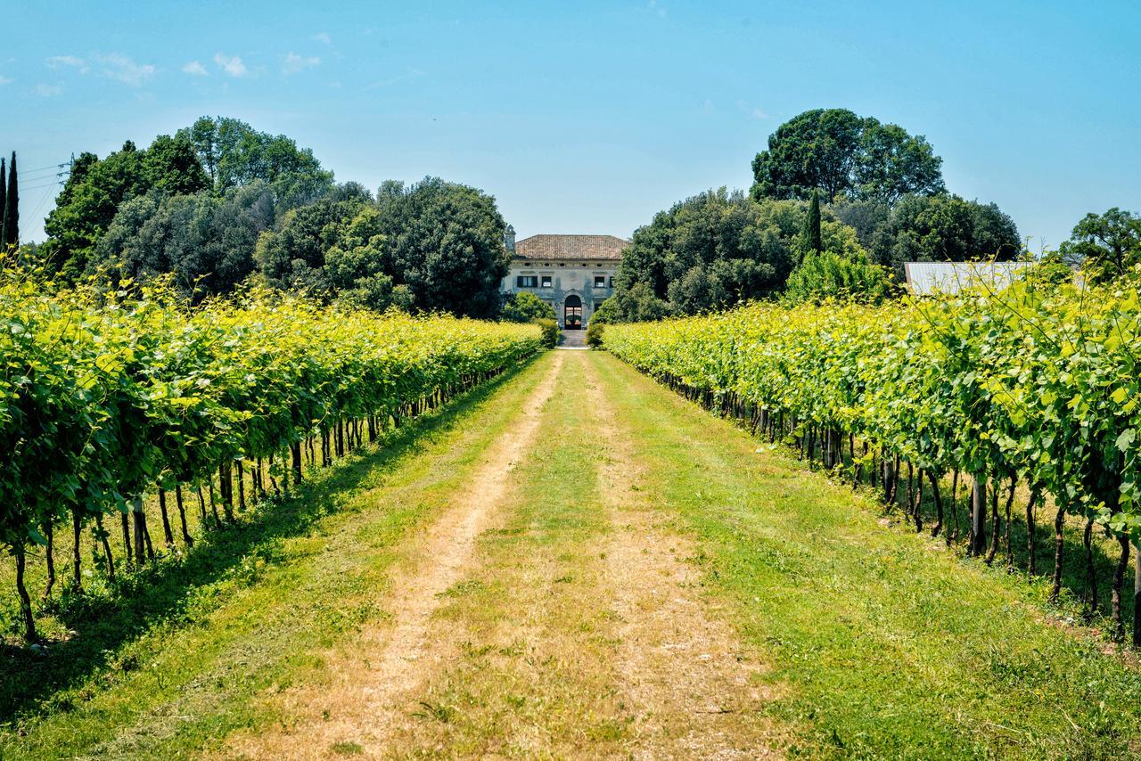 Relais Villa Sagramoso Sacchetti Verona Dış mekan fotoğraf