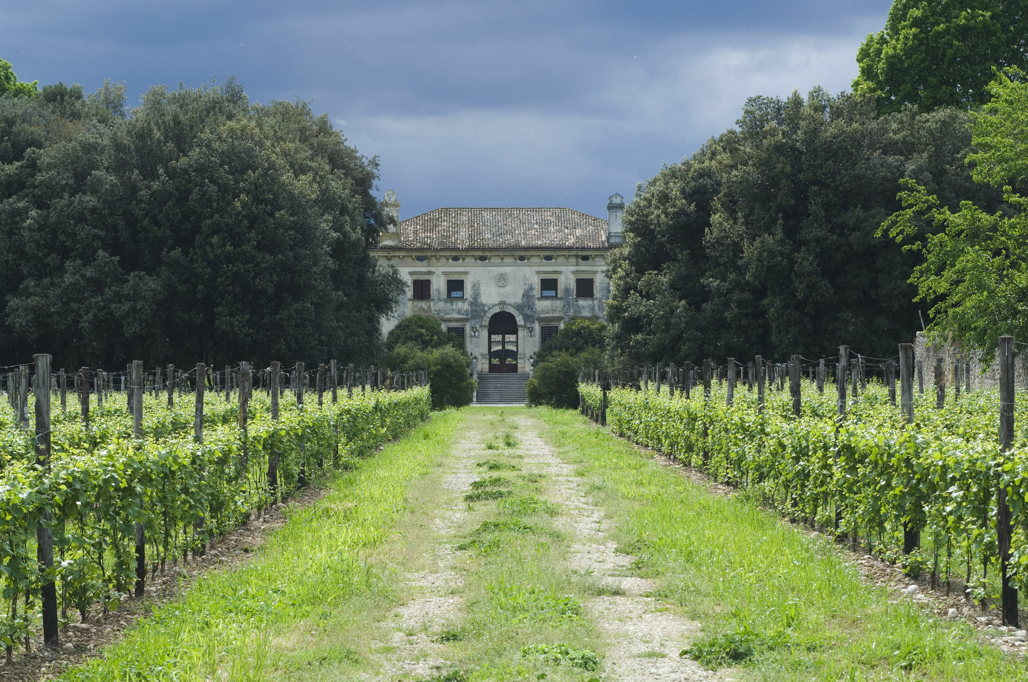 Relais Villa Sagramoso Sacchetti Verona Dış mekan fotoğraf